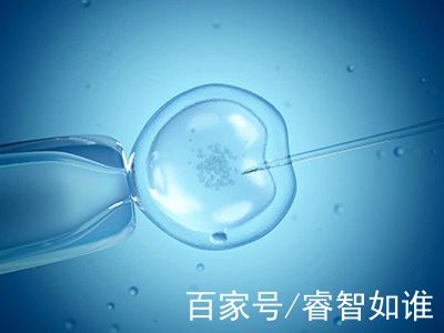 爱心同性供卵咨询怎么收费试管婴儿中心